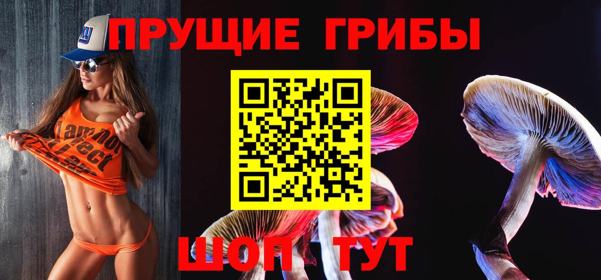 Сорочинск  Галлюциногенные грибы Magic Shrooms  купить  сайты  Галлюциногенные грибы GOLDEN TEACHER  Вход с VPN 